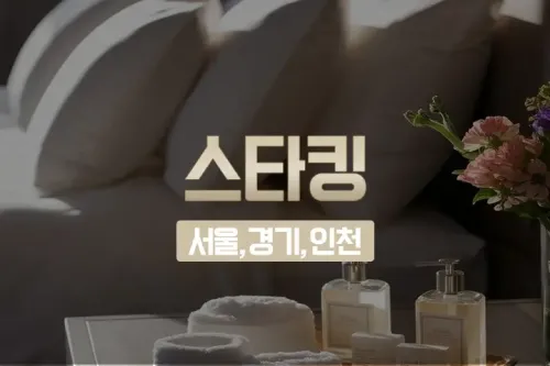 서울 홈케어 [스타킹] 출장마사지 홈타이