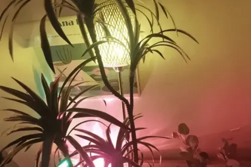 강남 선릉 1인샵 [레이디두찌] 테라피 스웨디시